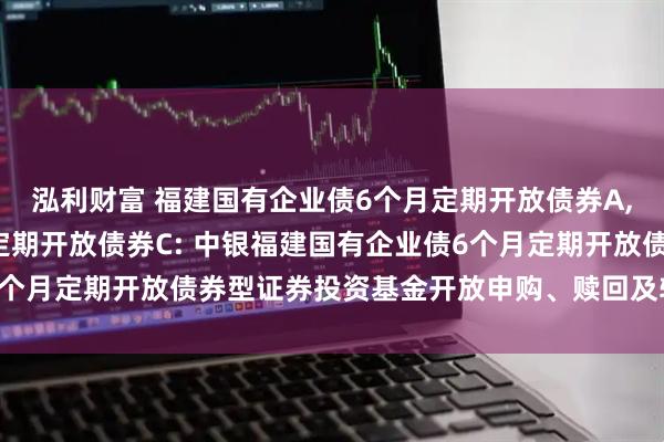 泓利财富 福建国有企业债6个月定期开放债券A,福建国有企业债6个月定期开放债券C: 中银福建国有企业债6个月定期开放债券型证券投资基金开放申购、赎回及转换业务公告