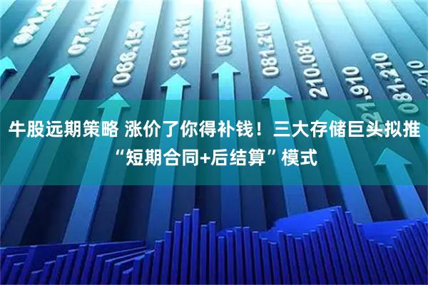 牛股远期策略 涨价了你得补钱！三大存储巨头拟推“短期合同+后结算”模式